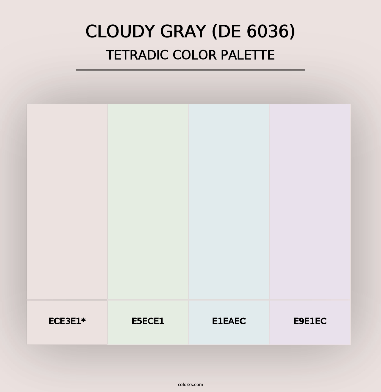 Cloudy Gray (DE 6036) - Tetradic Color Palette