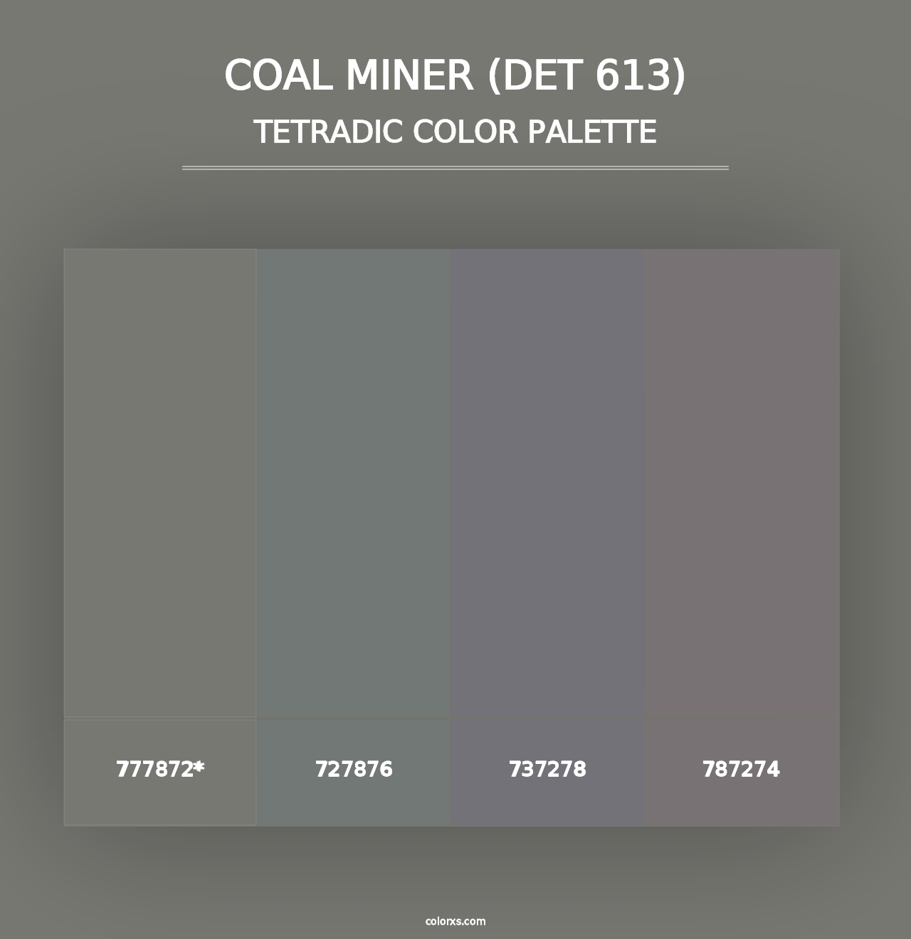 Coal Miner (DET 613) - Tetradic Color Palette