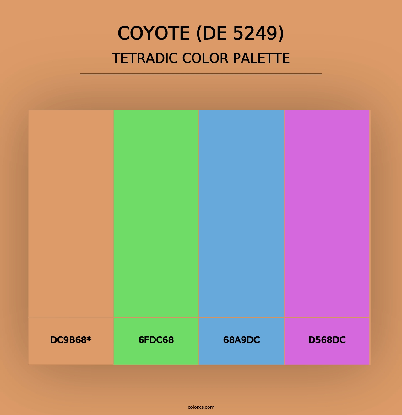 Coyote (DE 5249) - Tetradic Color Palette