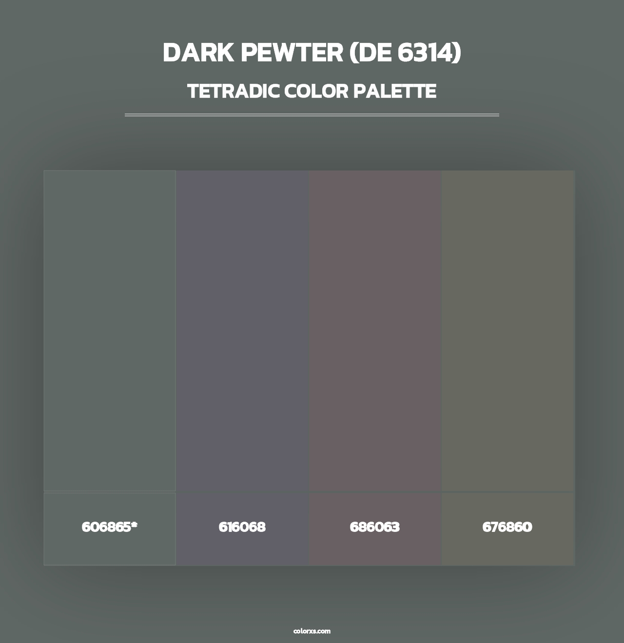 Dark Pewter (DE 6314) - Tetradic Color Palette