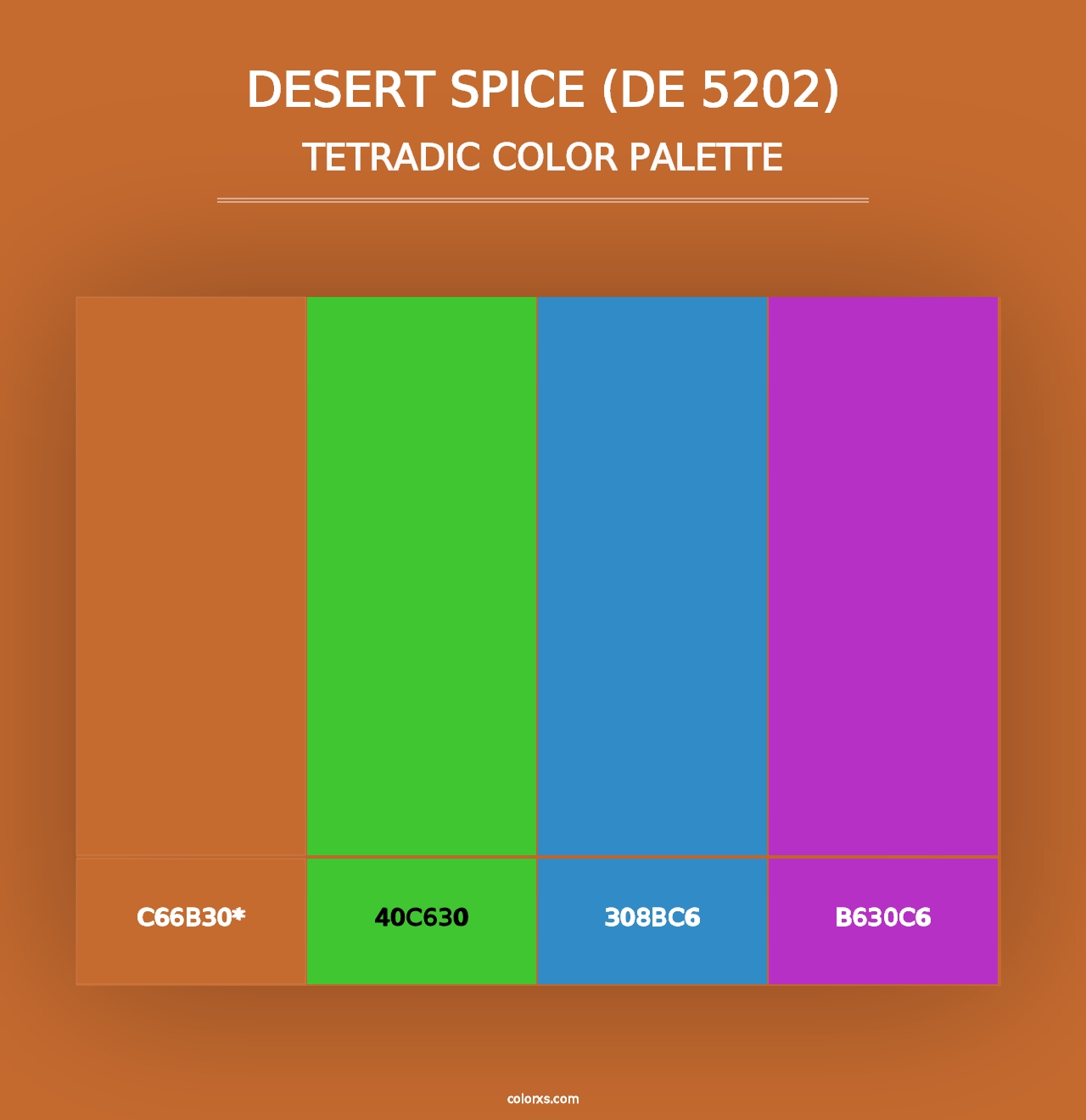 Desert Spice (DE 5202) - Tetradic Color Palette