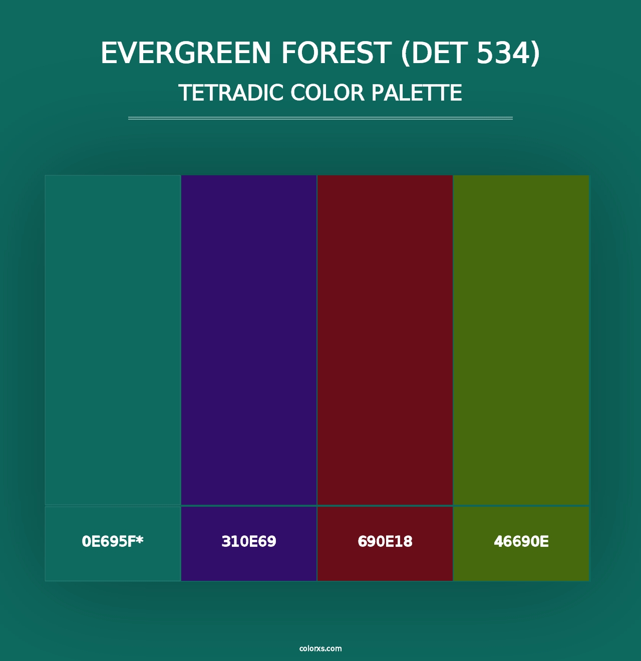 Evergreen Forest (DET 534) - Tetradic Color Palette