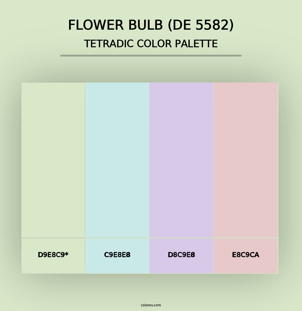 Flower Bulb (DE 5582) - Tetradic Color Palette