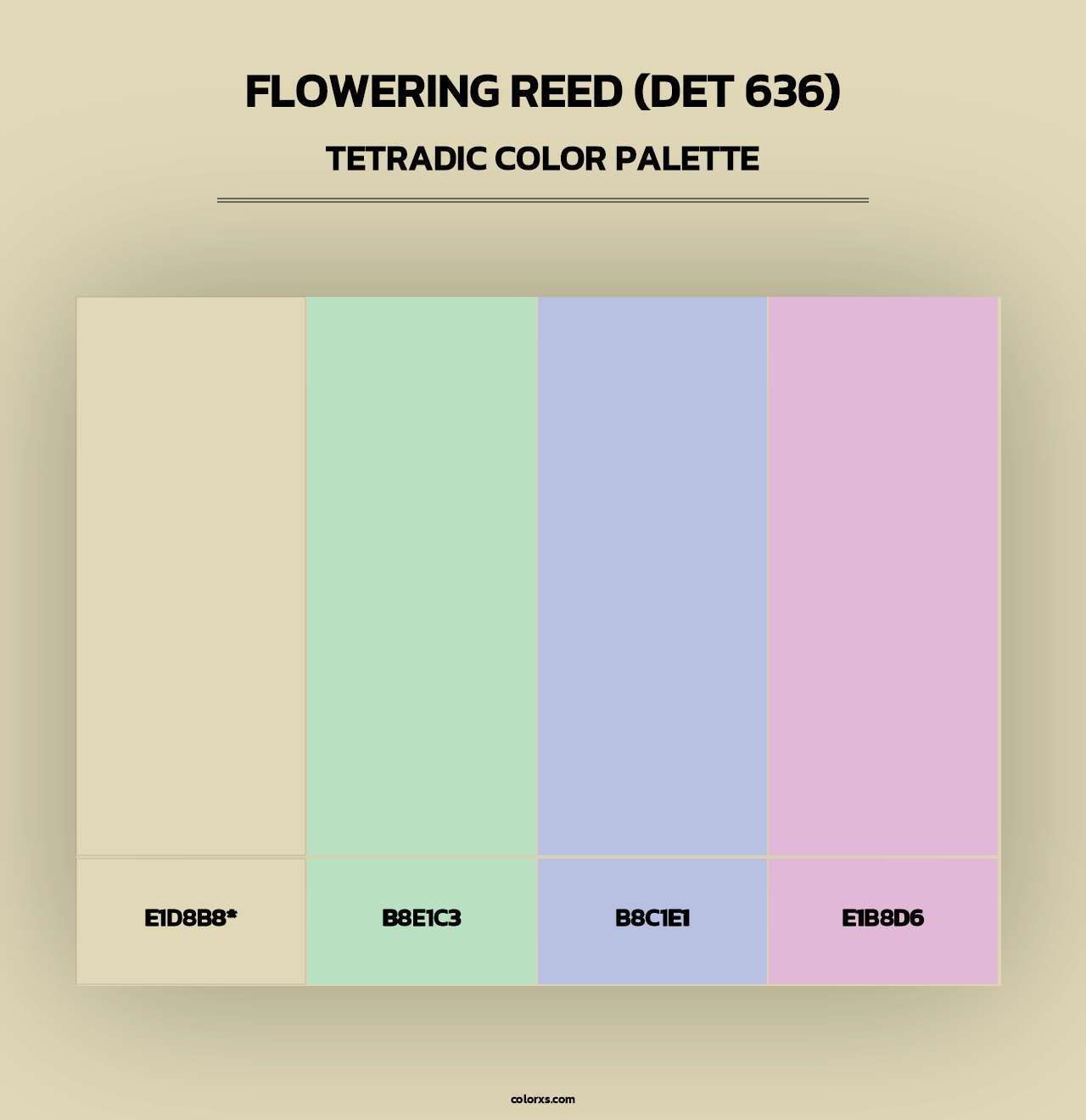 Flowering Reed (DET 636) - Tetradic Color Palette