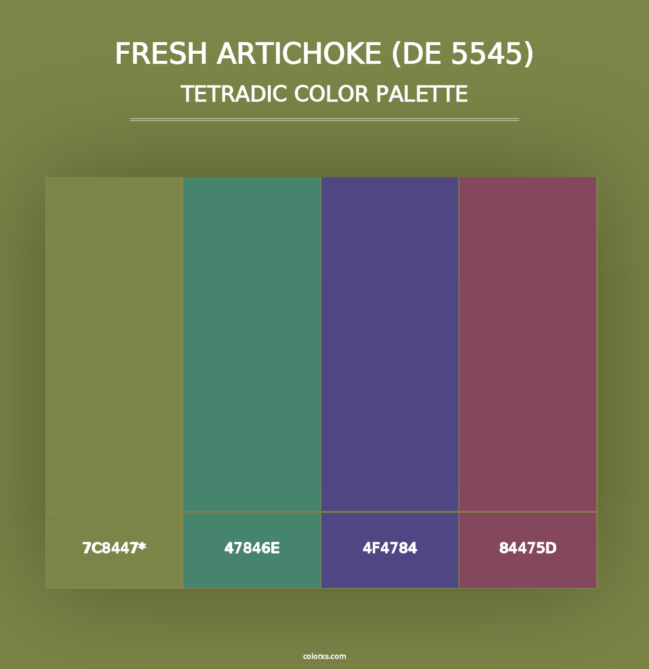 Fresh Artichoke (DE 5545) - Tetradic Color Palette