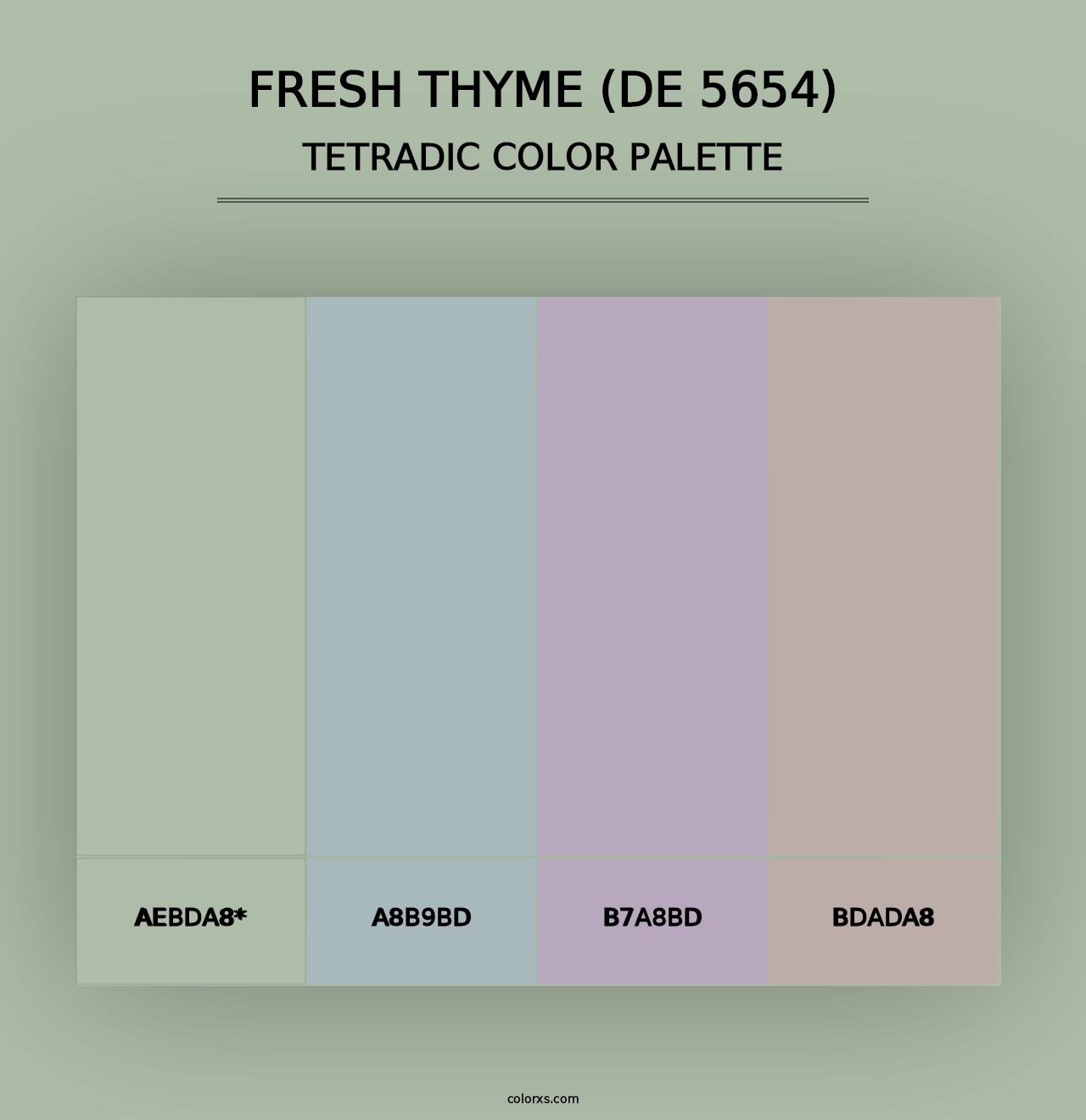 Fresh Thyme (DE 5654) - Tetradic Color Palette