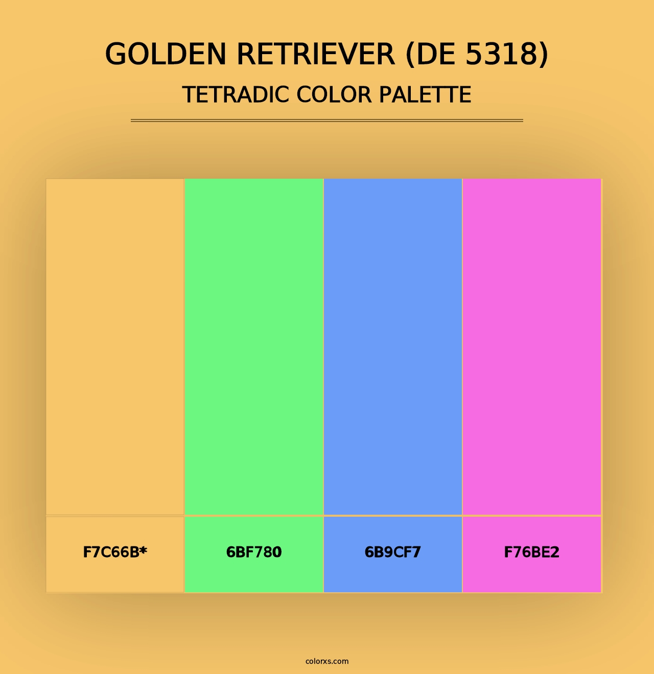 Golden Retriever (DE 5318) - Tetradic Color Palette