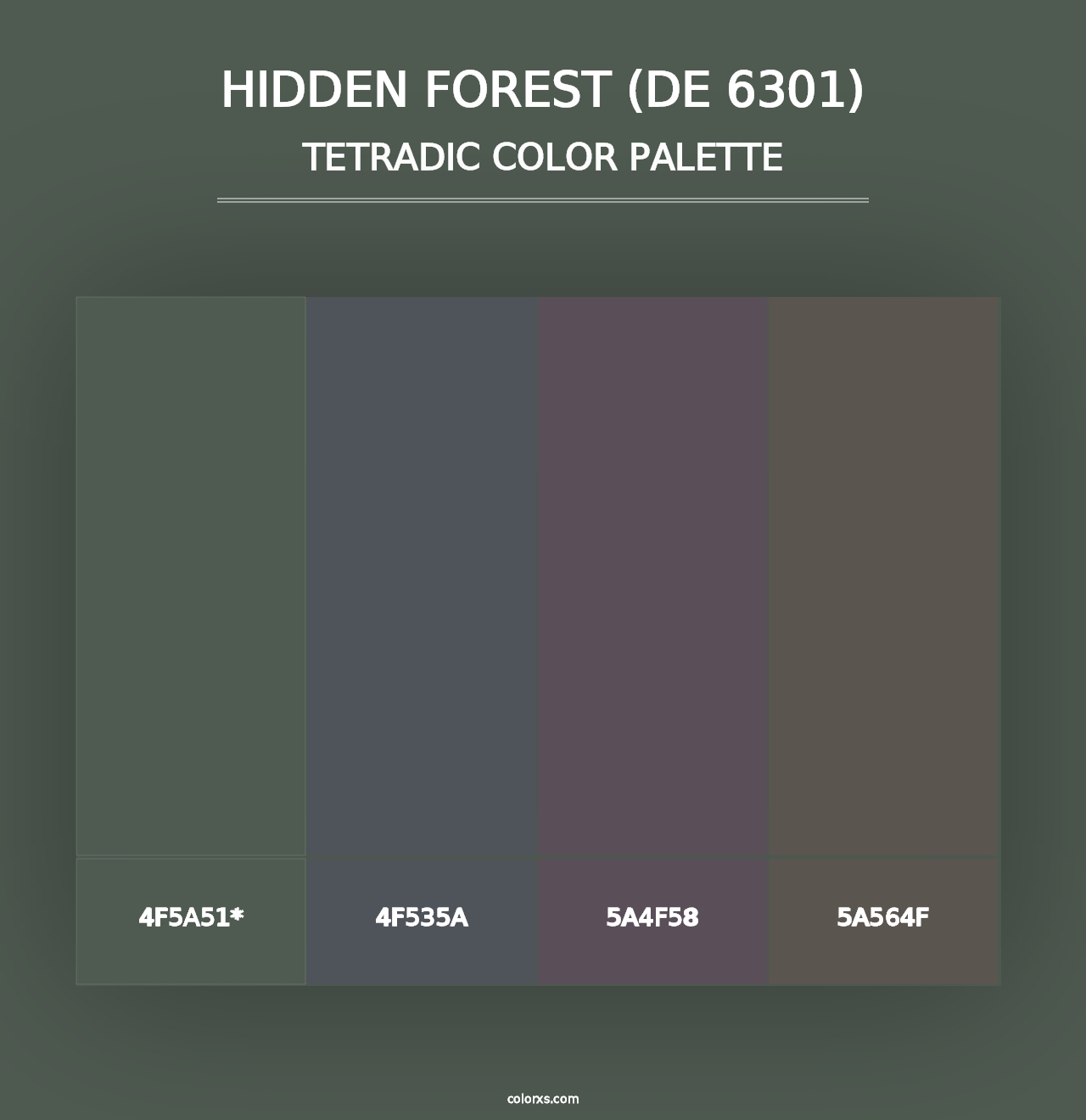 Hidden Forest (DE 6301) - Tetradic Color Palette