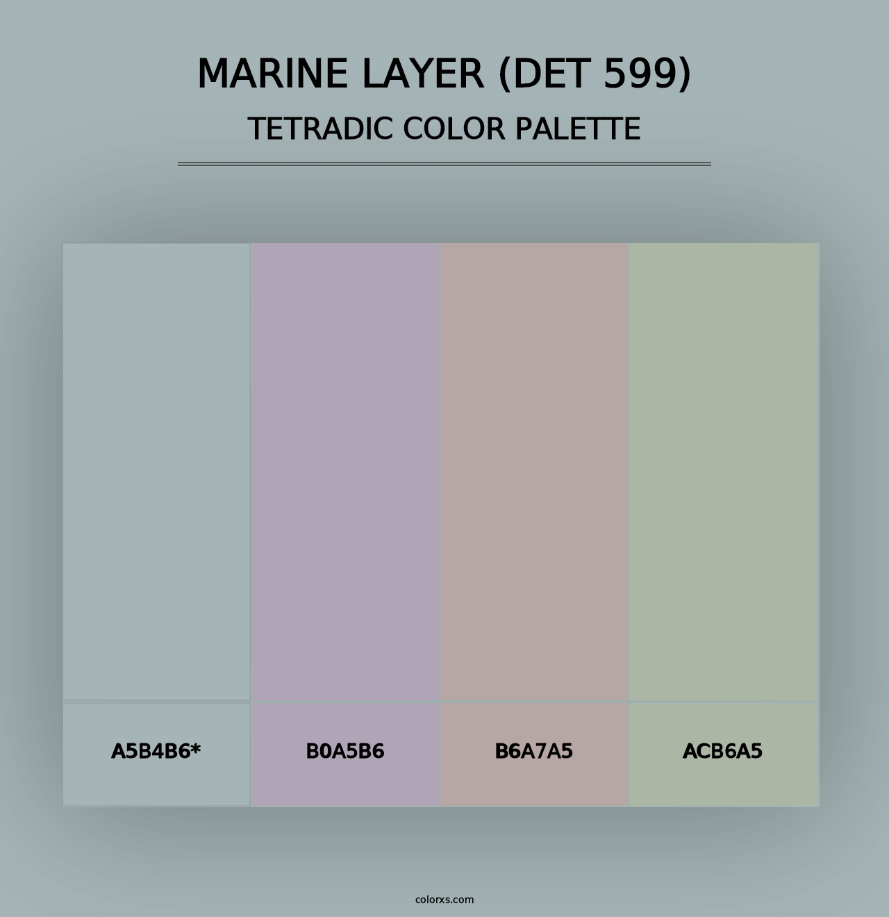 Marine Layer (DET 599) - Tetradic Color Palette