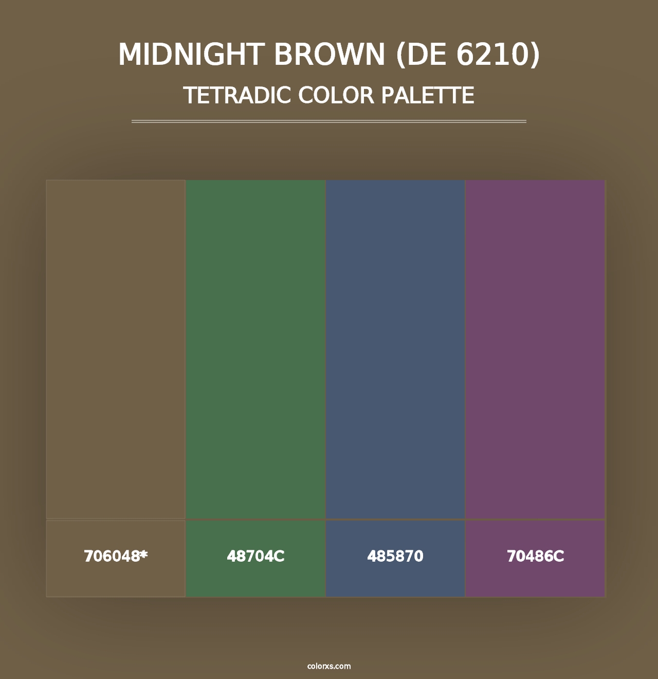 Midnight Brown (DE 6210) - Tetradic Color Palette