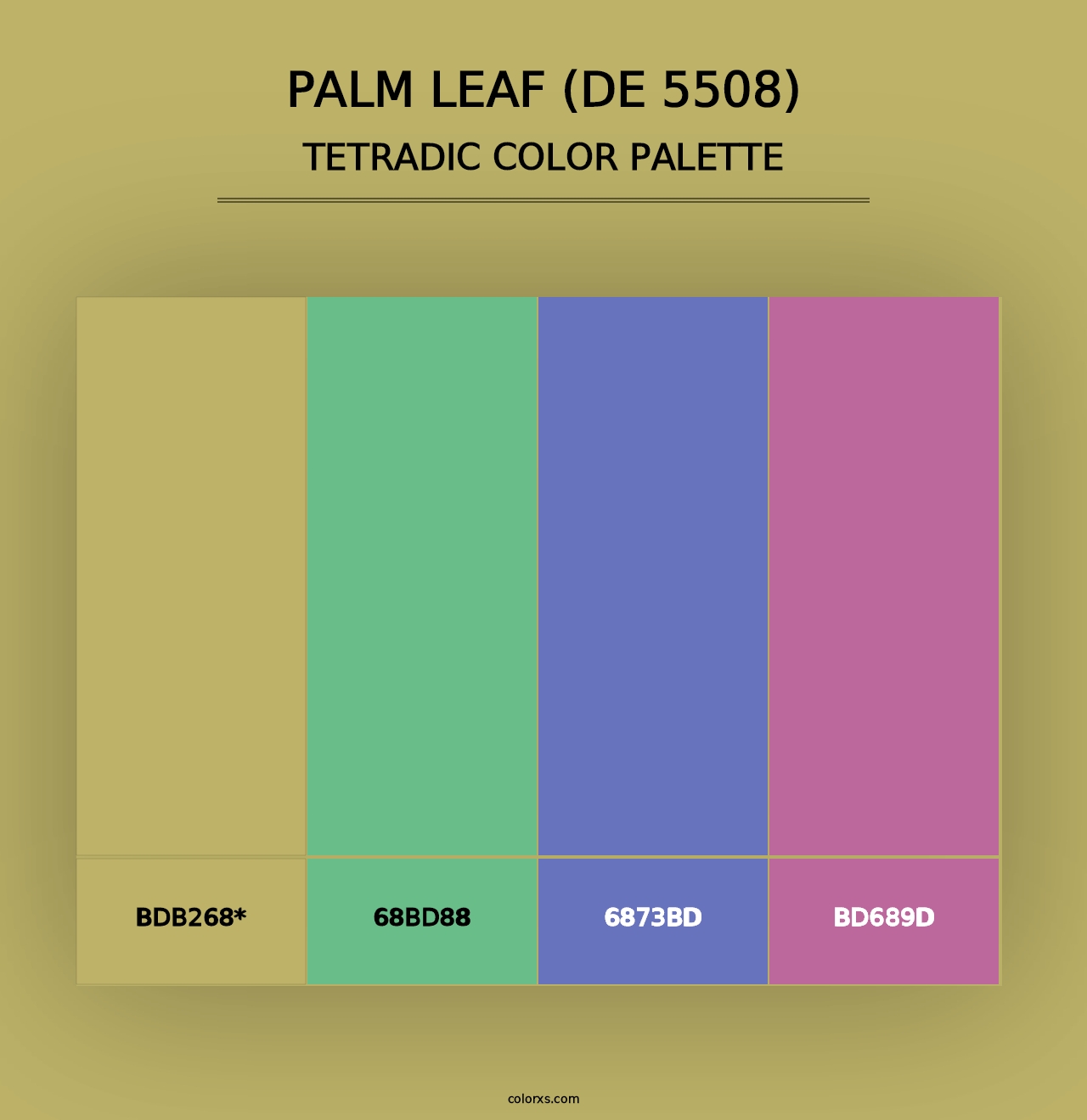 Palm Leaf (DE 5508) - Tetradic Color Palette