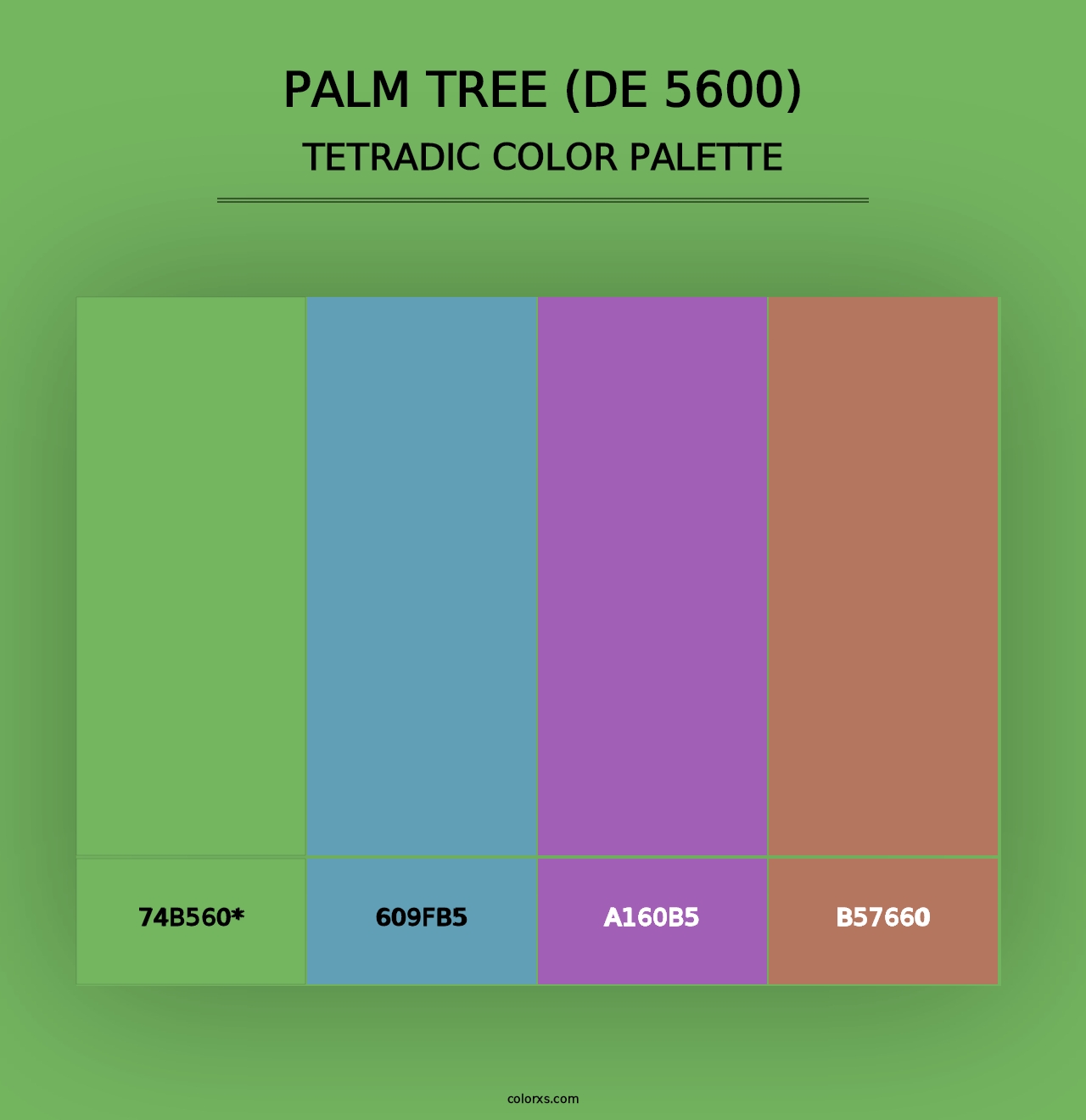 Palm Tree (DE 5600) - Tetradic Color Palette