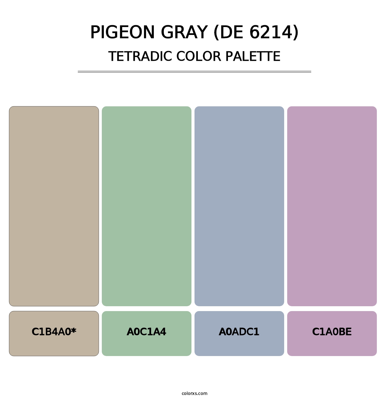 Pigeon Gray (DE 6214) - Tetradic Color Palette