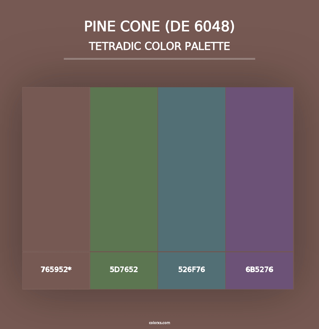 Pine Cone (DE 6048) - Tetradic Color Palette