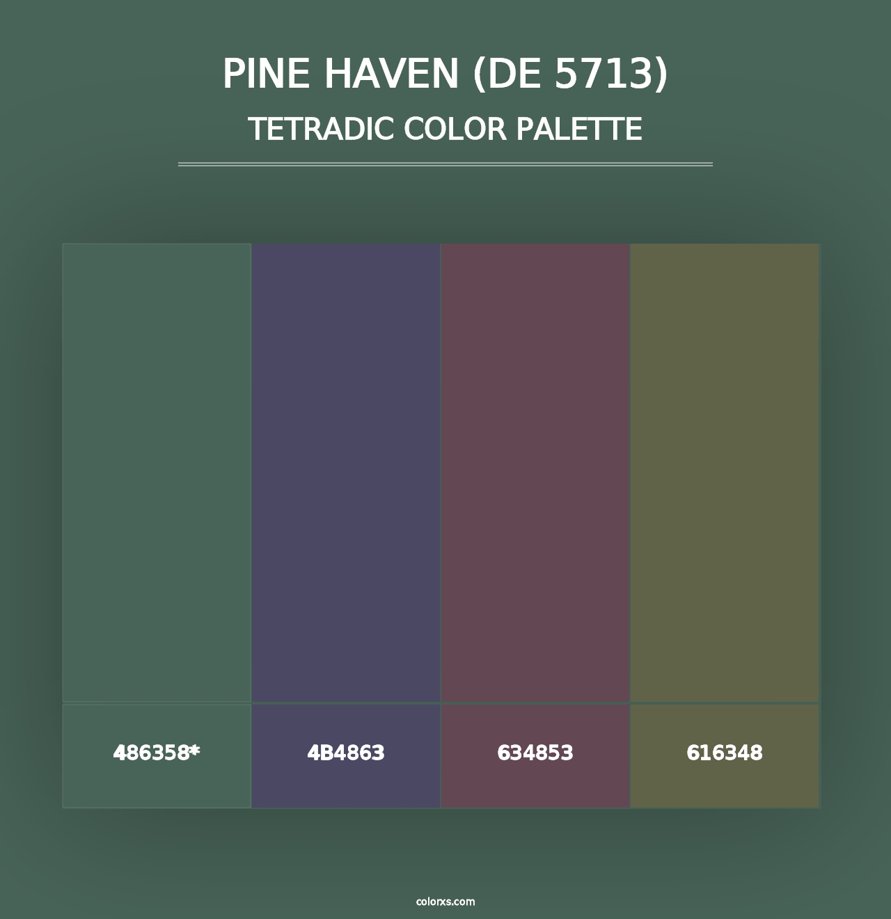 Pine Haven (DE 5713) - Tetradic Color Palette