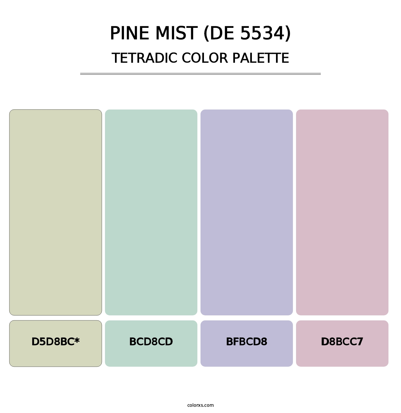 Pine Mist (DE 5534) - Tetradic Color Palette