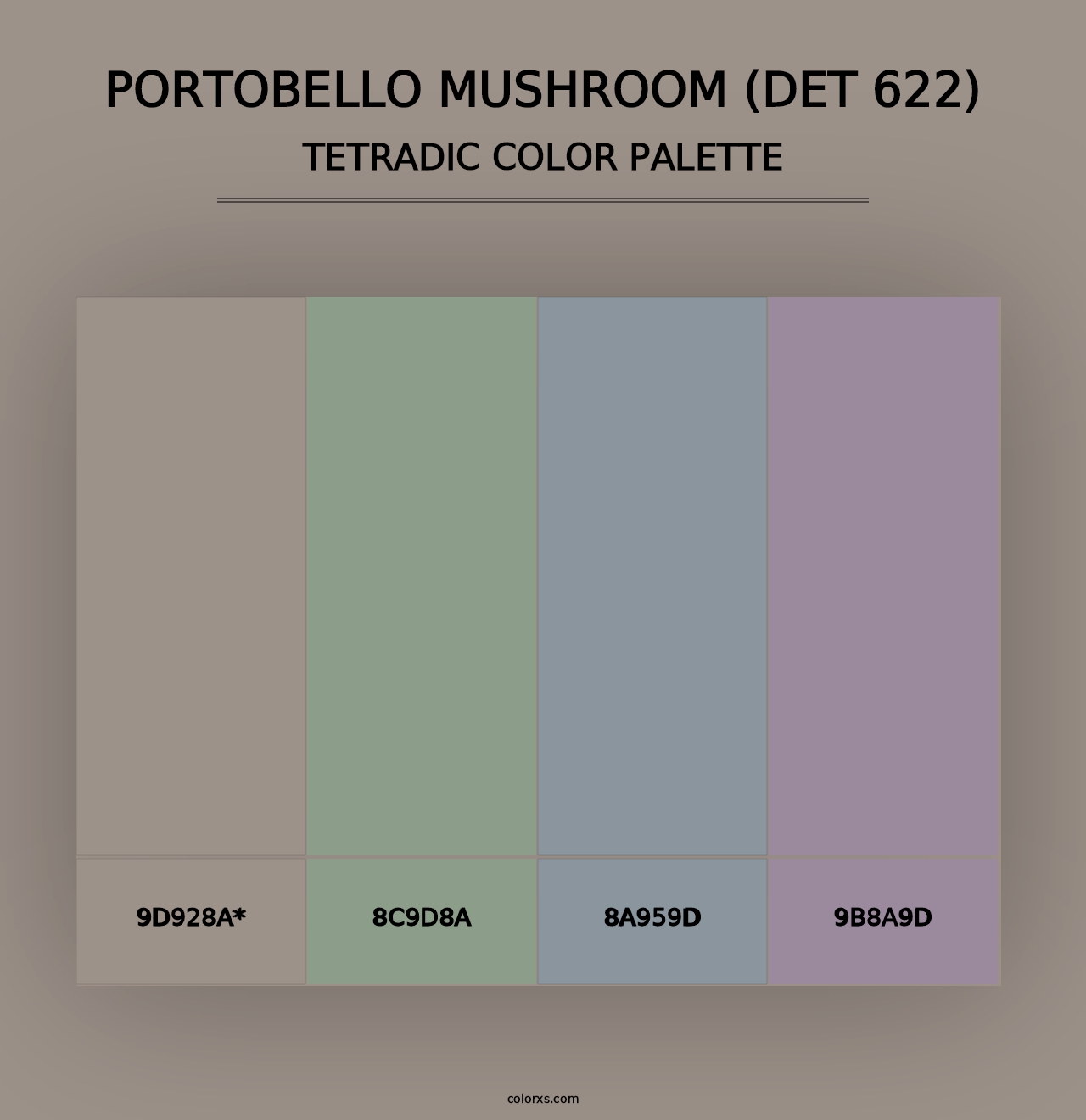 Portobello Mushroom (DET 622) - Tetradic Color Palette