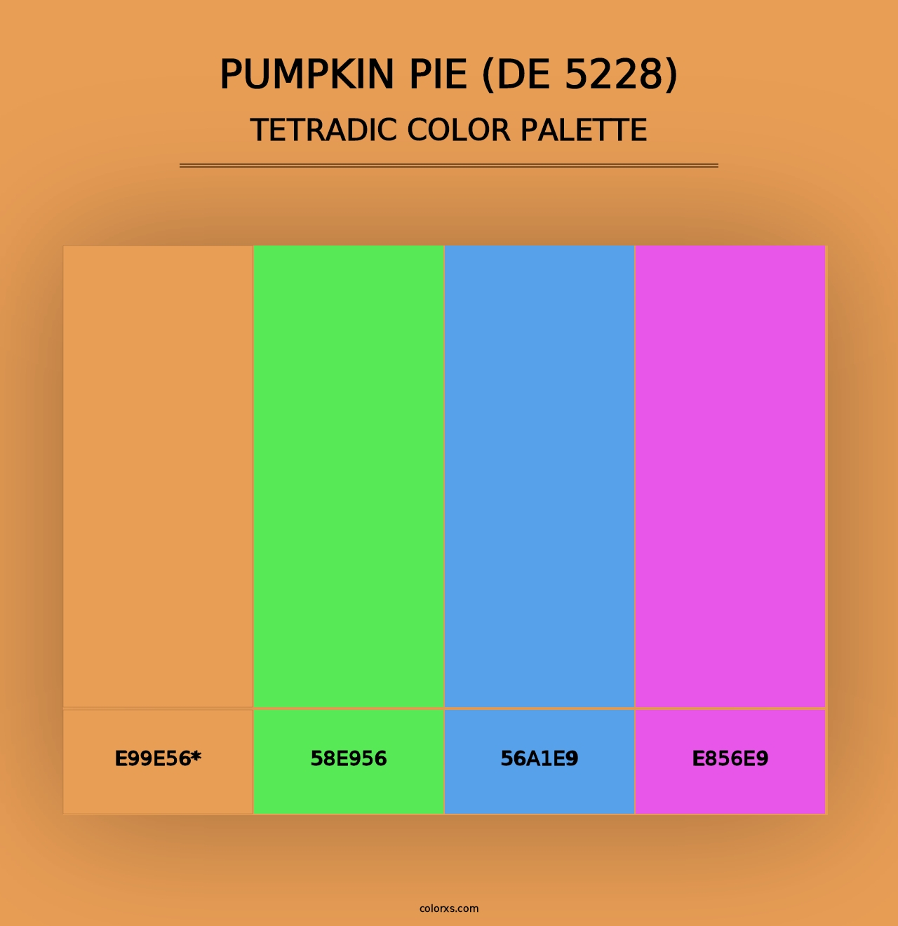 Pumpkin Pie (DE 5228) - Tetradic Color Palette