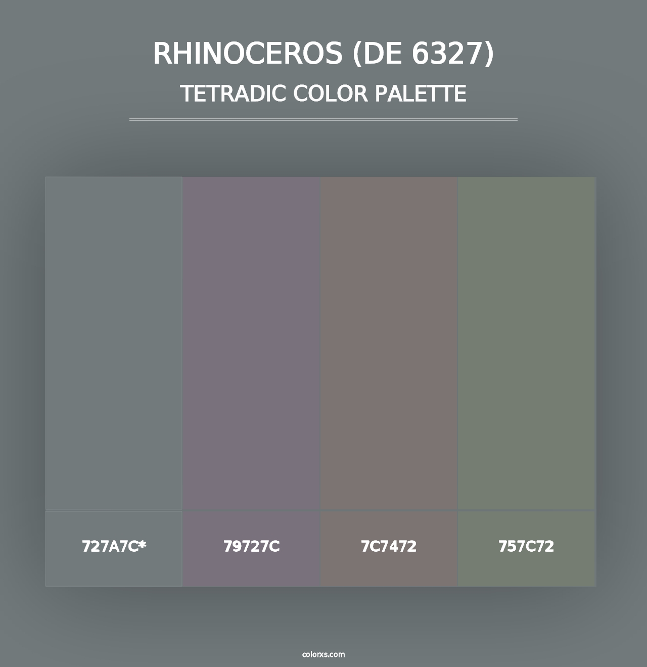 Rhinoceros (DE 6327) - Tetradic Color Palette