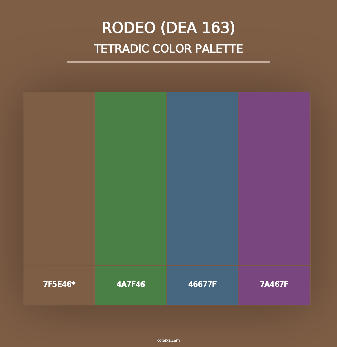 Rodeo (DEA 163) - Tetradic Color Palette