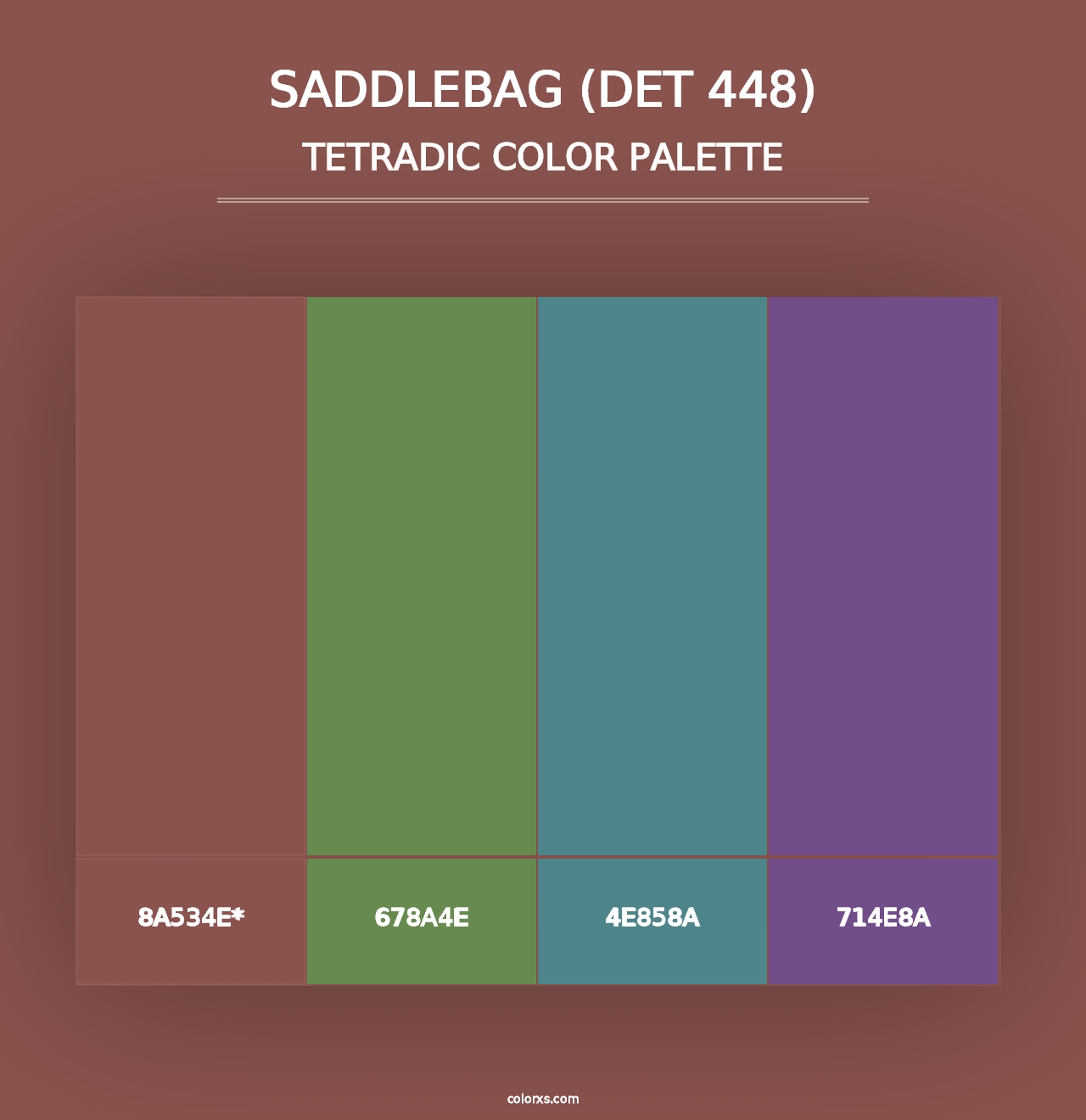 Saddlebag (DET 448) - Tetradic Color Palette