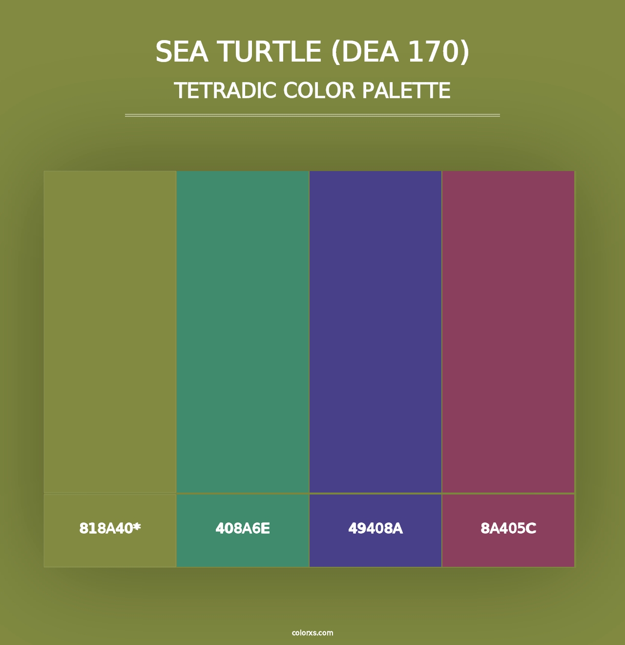 Sea Turtle (DEA 170) - Tetradic Color Palette