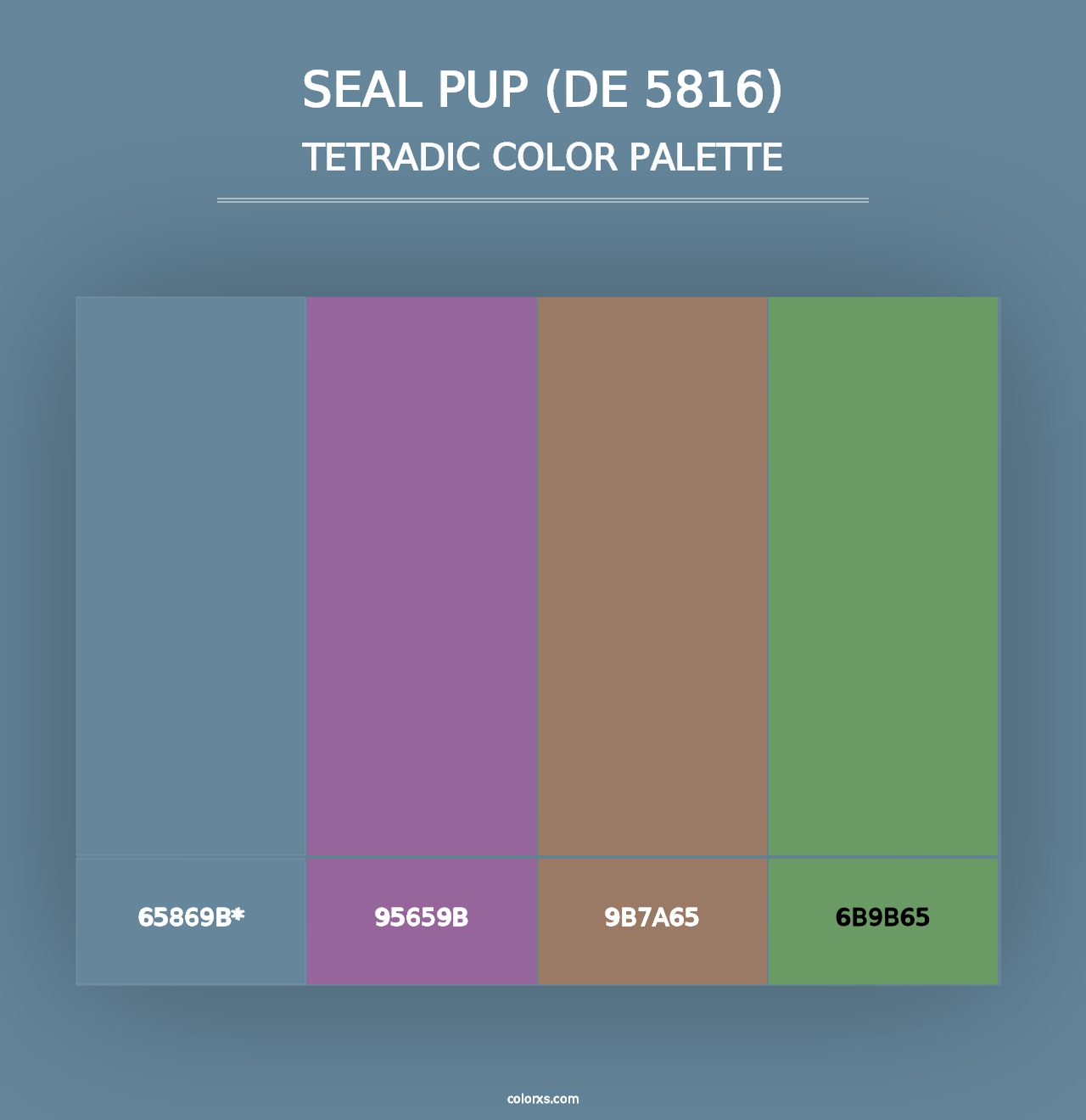 Seal Pup (DE 5816) - Tetradic Color Palette