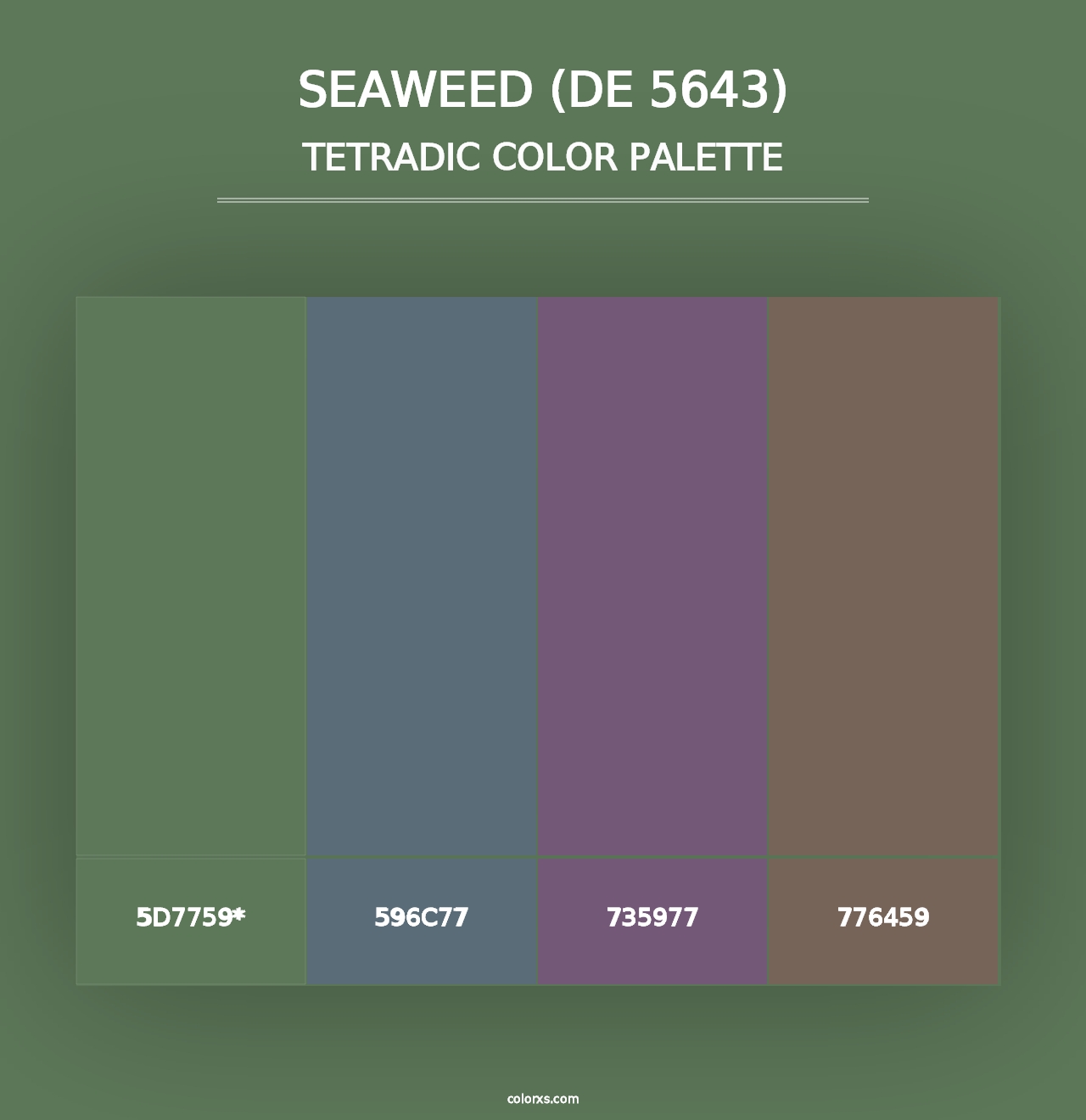 Seaweed (DE 5643) - Tetradic Color Palette