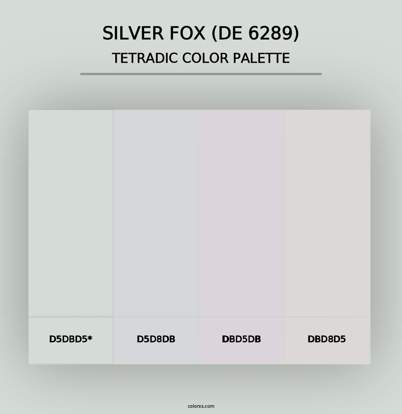 Silver Fox (DE 6289) - Tetradic Color Palette