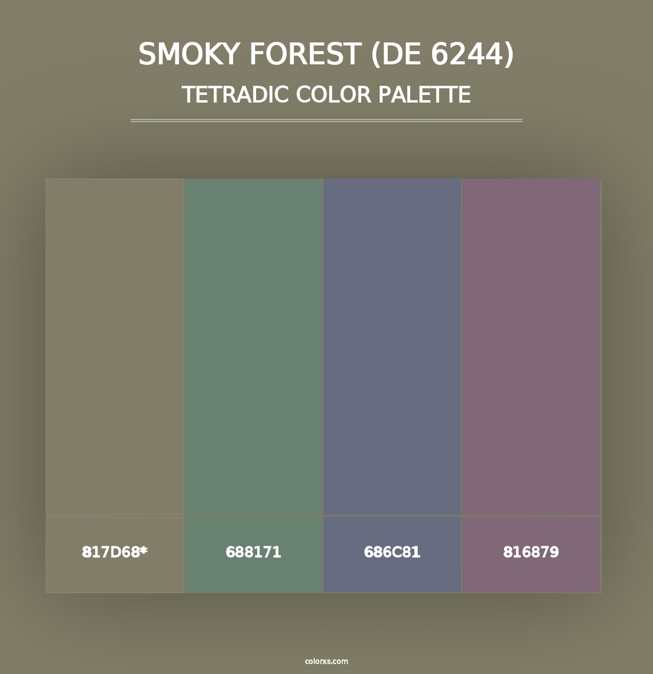 Smoky Forest (DE 6244) - Tetradic Color Palette