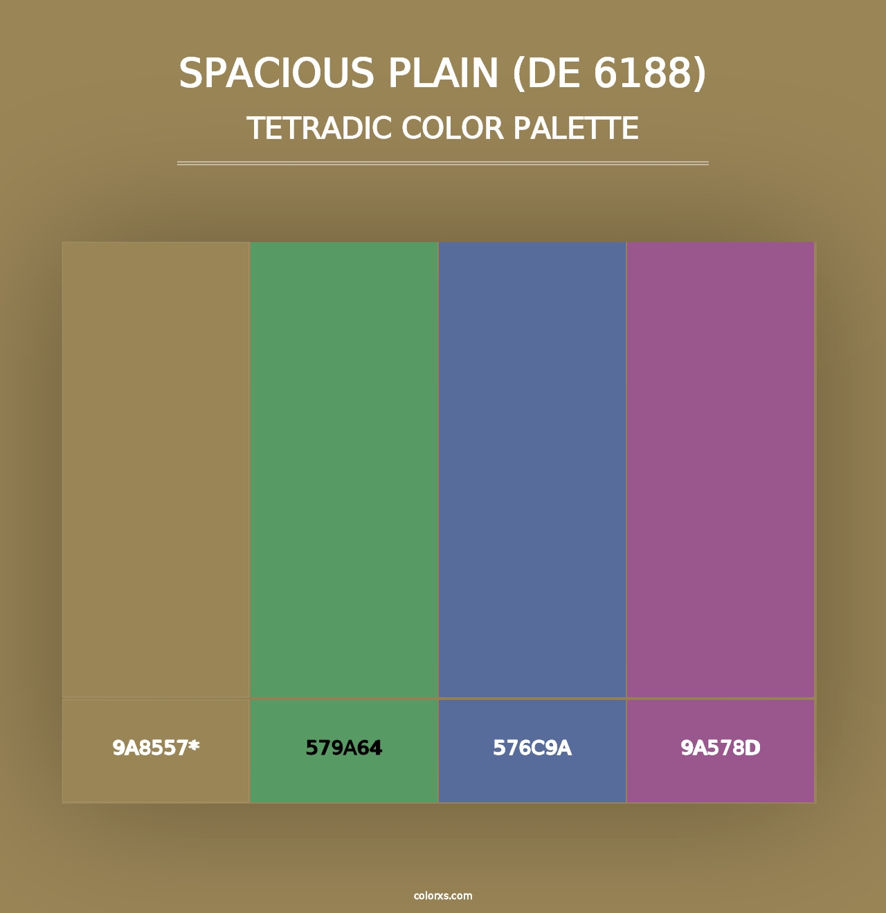 Spacious Plain (DE 6188) - Tetradic Color Palette