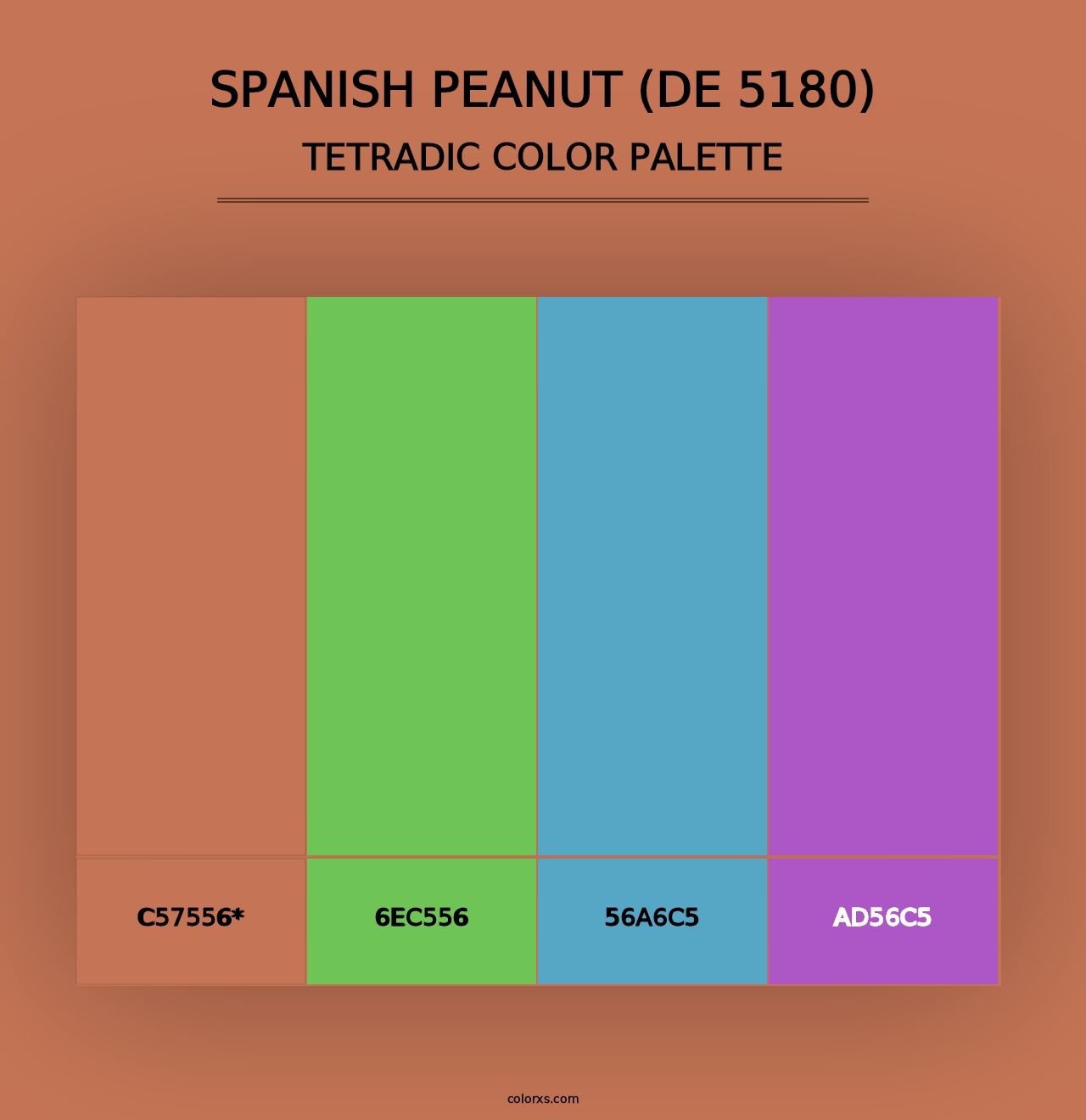 Spanish Peanut (DE 5180) - Tetradic Color Palette