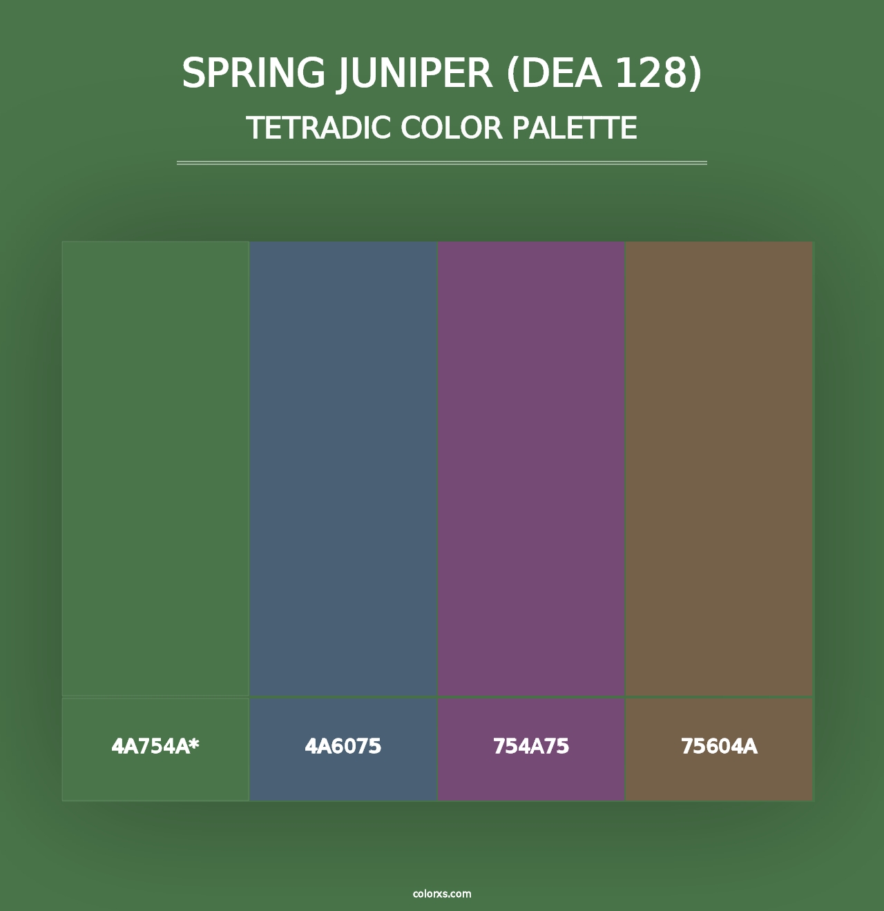 Spring Juniper (DEA 128) - Tetradic Color Palette