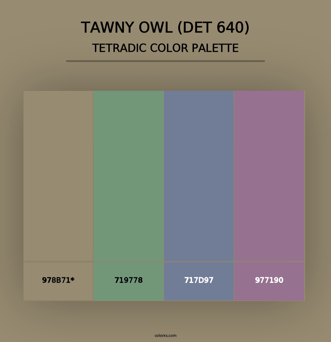 Tawny Owl (DET 640) - Tetradic Color Palette