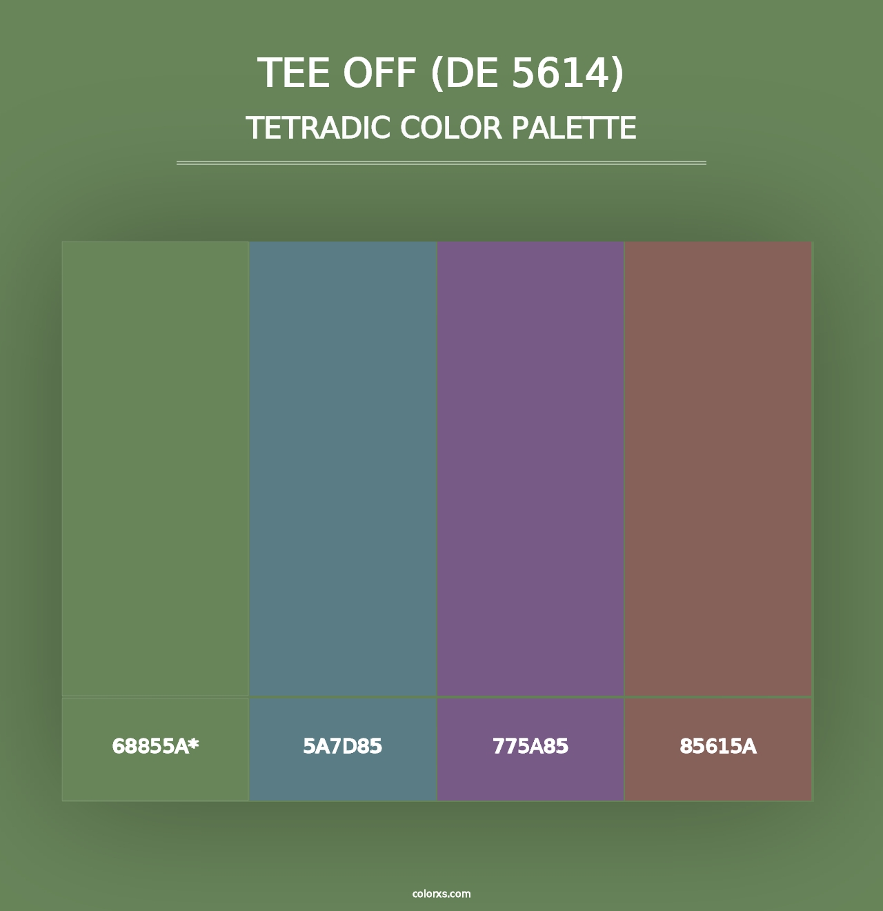 Tee Off (DE 5614) - Tetradic Color Palette