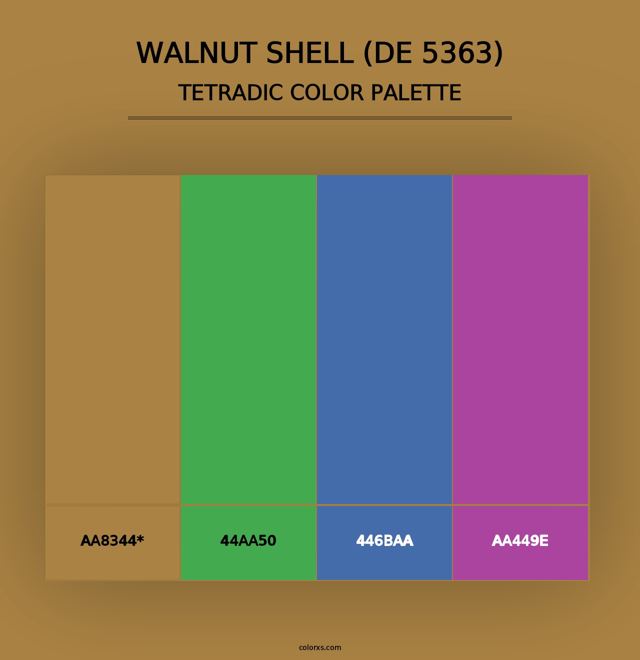 Walnut Shell (DE 5363) - Tetradic Color Palette