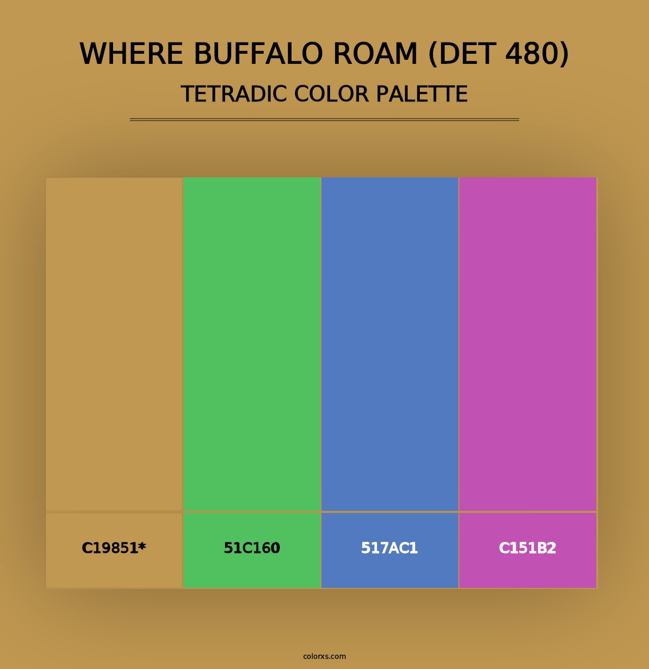 Where Buffalo Roam (DET 480) - Tetradic Color Palette