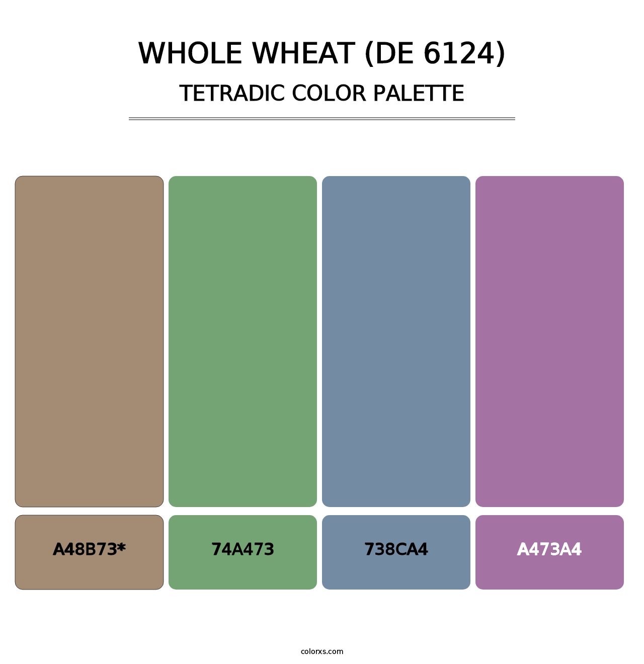 Whole Wheat (DE 6124) - Tetradic Color Palette