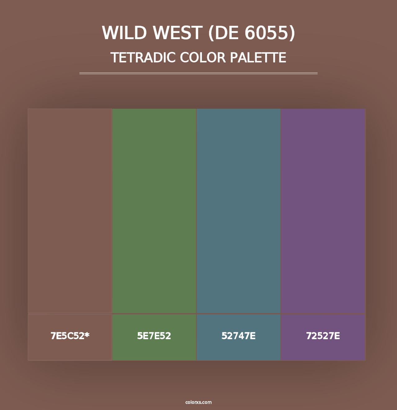 Wild West (DE 6055) - Tetradic Color Palette