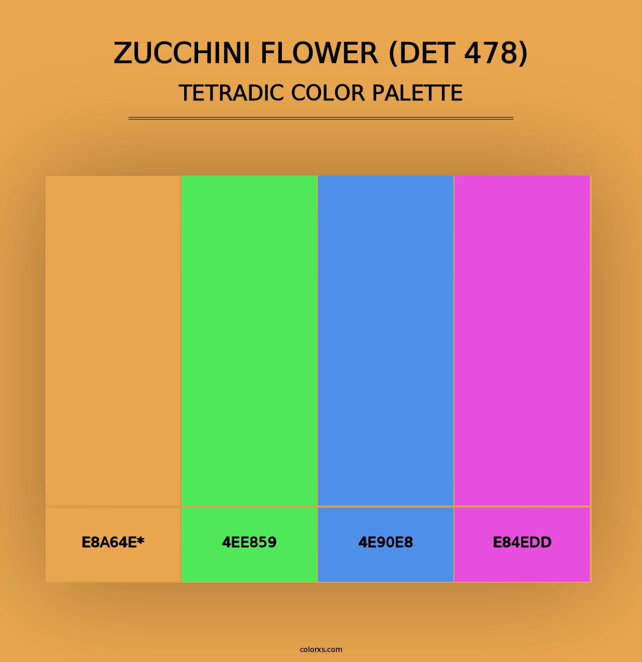 Zucchini Flower (DET 478) - Tetradic Color Palette