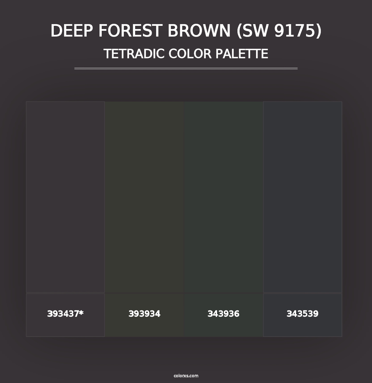 Deep Forest Brown (SW 9175) - Tetradic Color Palette