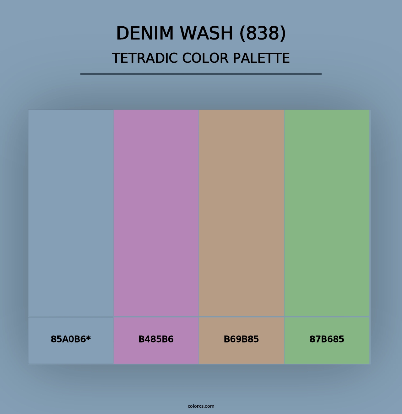 Denim Wash (838) - Tetradic Color Palette