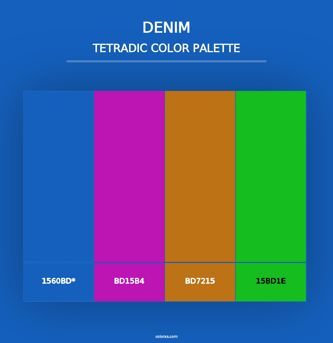 Denim - Tetradic Color Palette