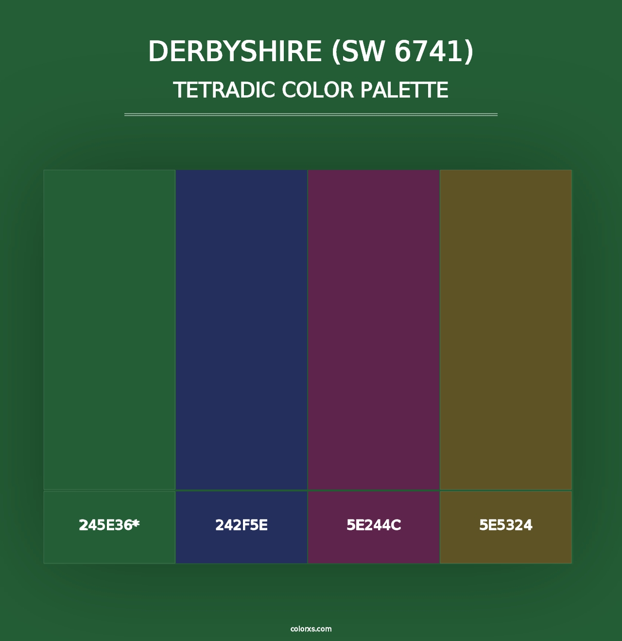 Derbyshire (SW 6741) - Tetradic Color Palette