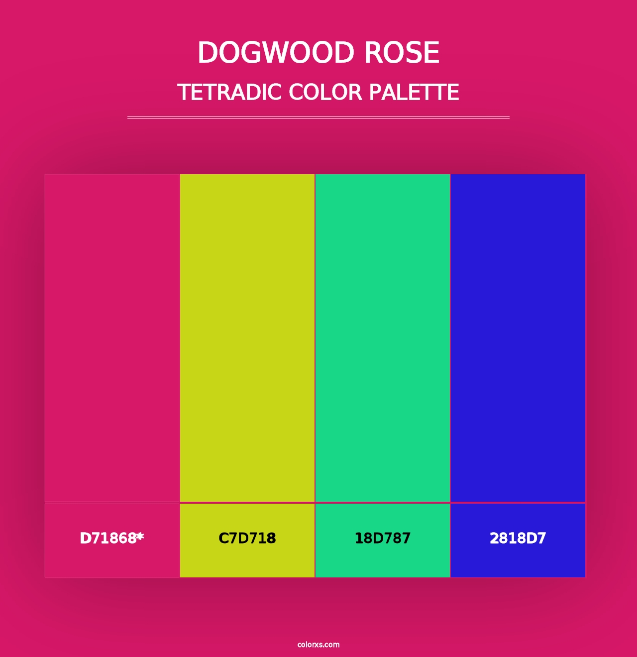 Dogwood Rose - Tetradic Color Palette