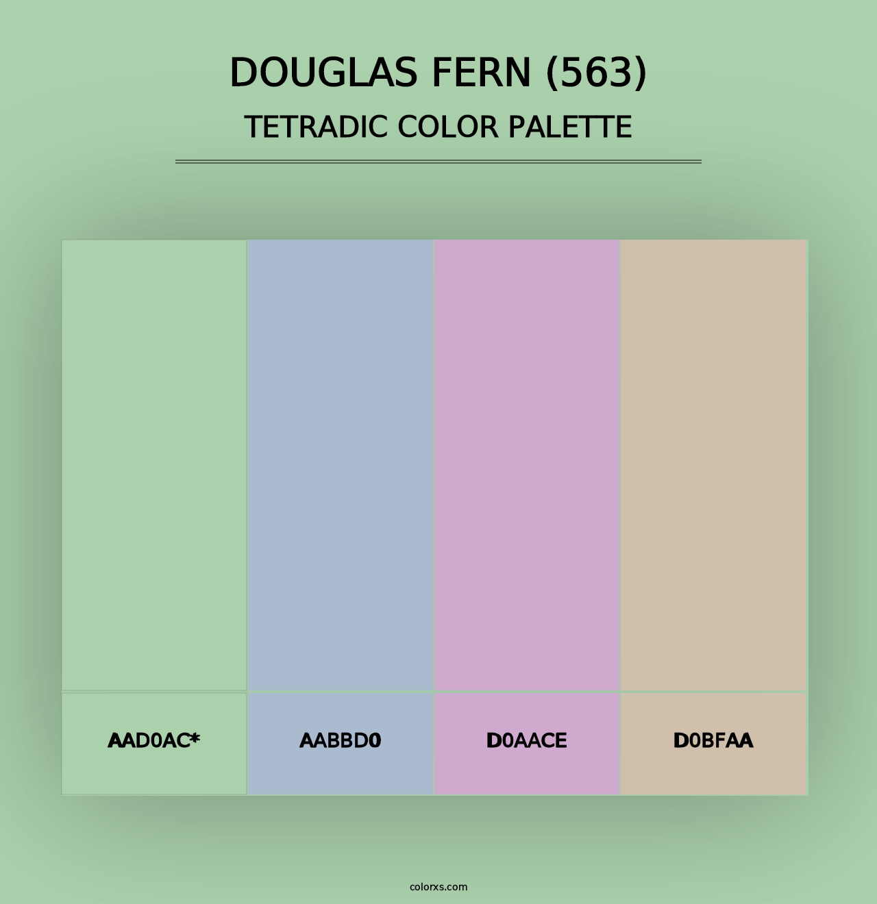 Douglas Fern (563) - Tetradic Color Palette