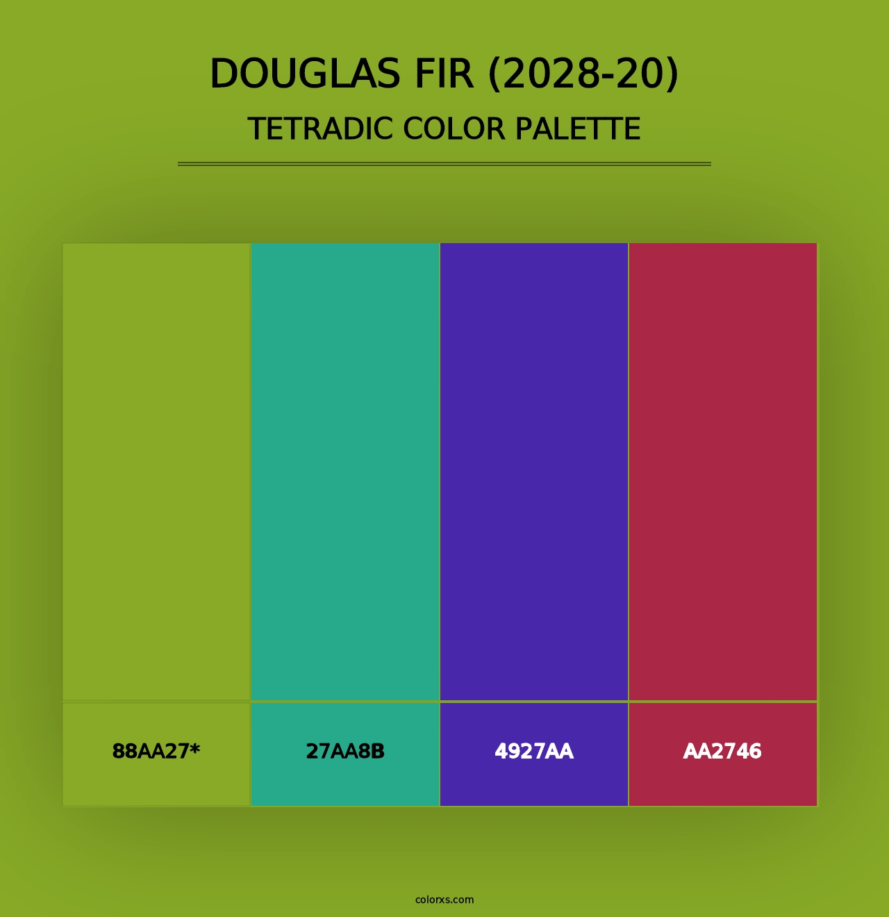 Douglas Fir (2028-20) - Tetradic Color Palette