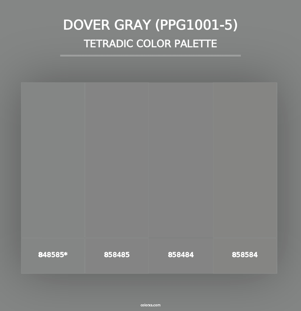 Dover Gray (PPG1001-5) - Tetradic Color Palette