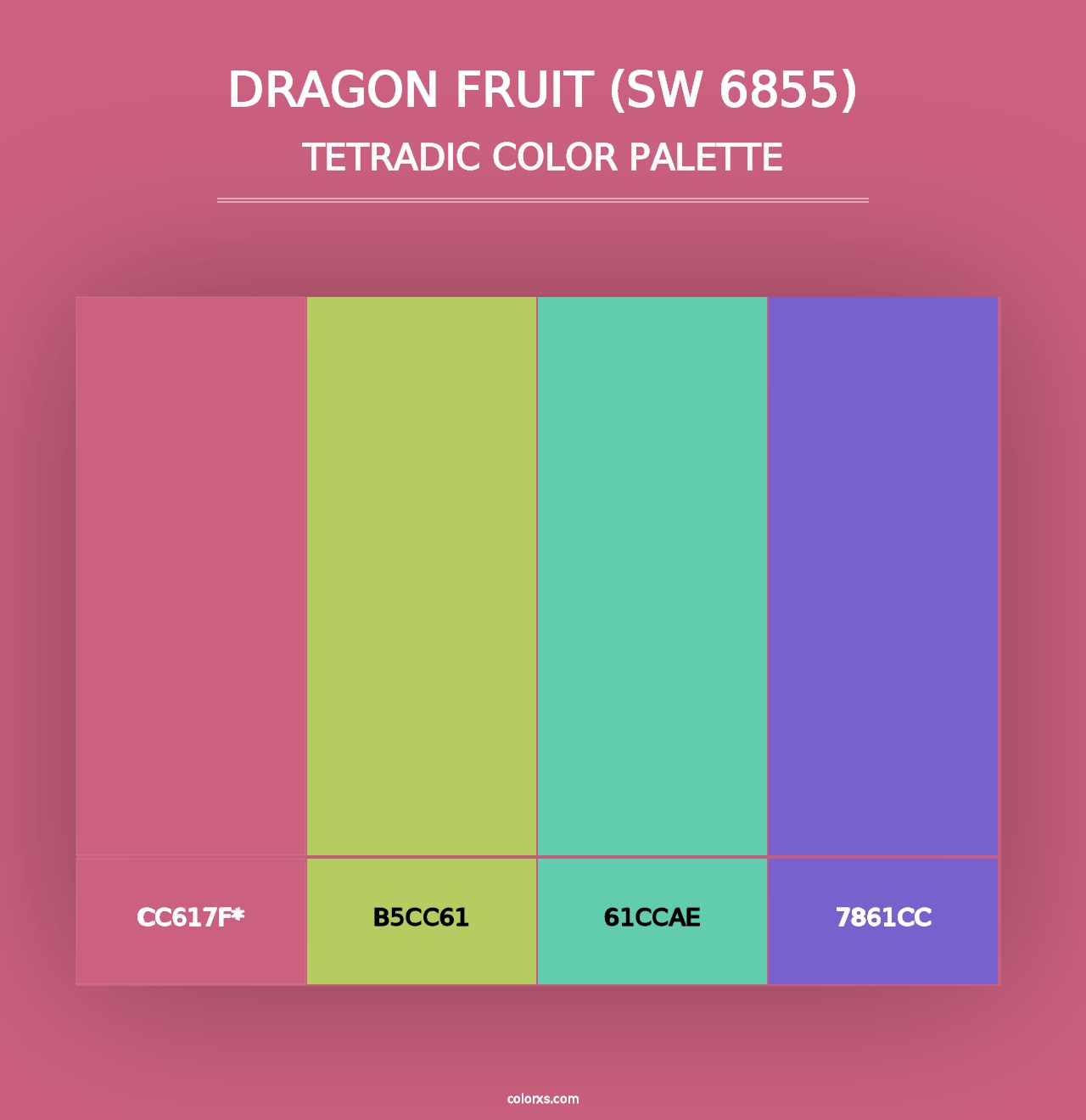 Dragon Fruit (SW 6855) - Tetradic Color Palette