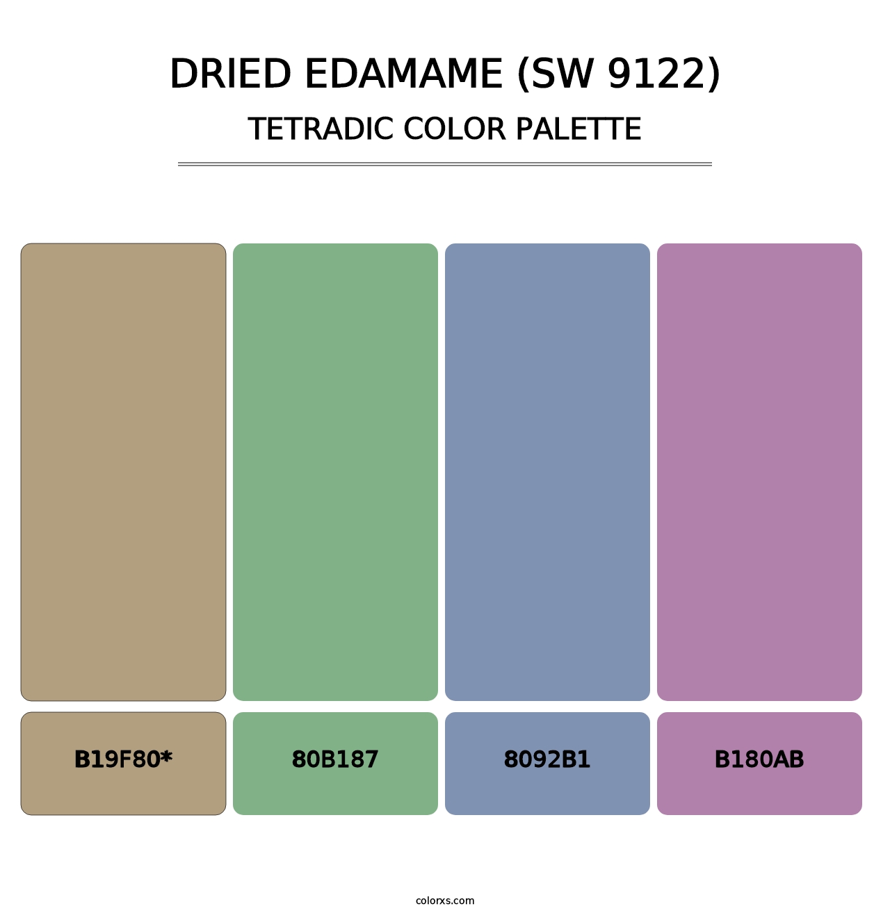 Dried Edamame (SW 9122) - Tetradic Color Palette